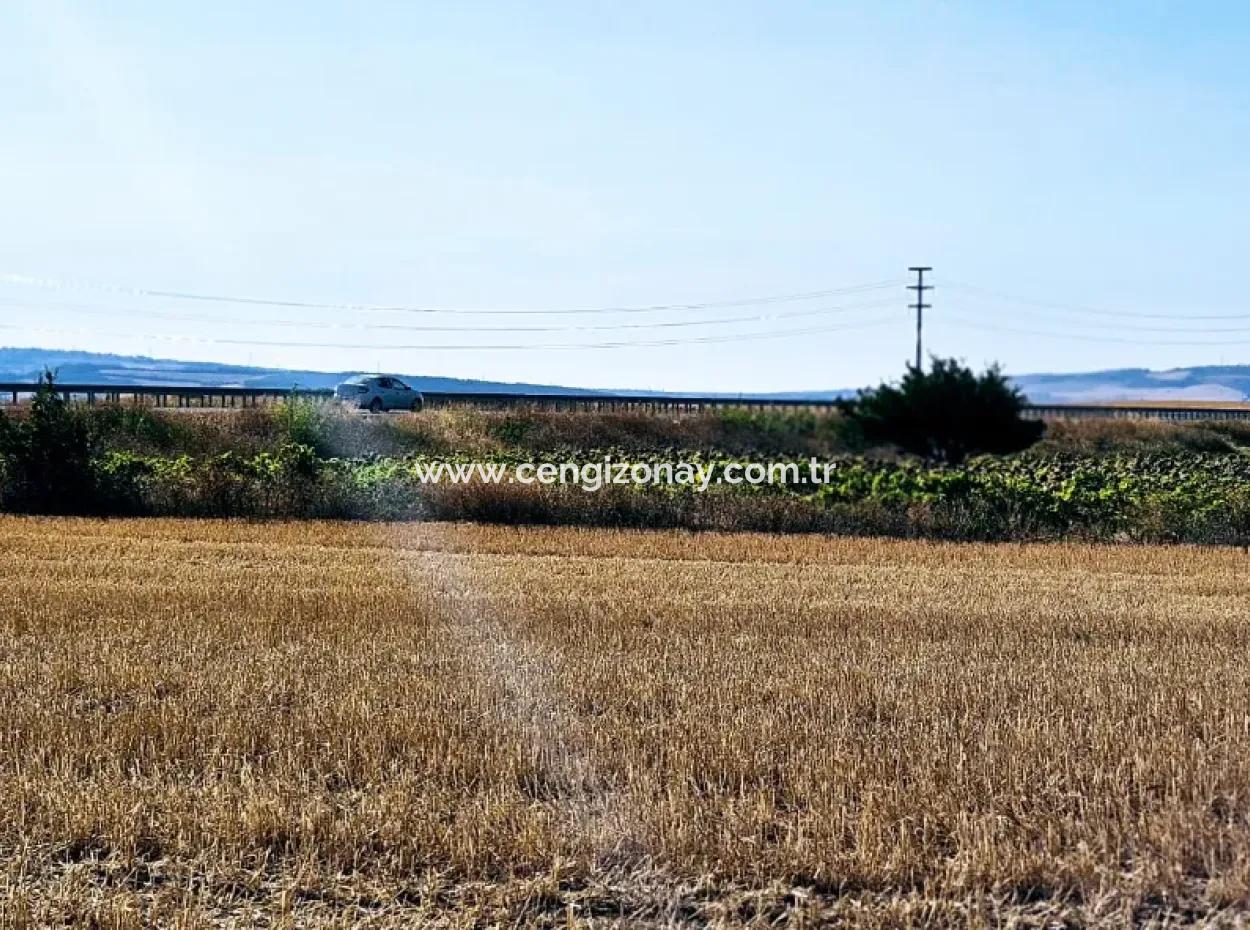 Asyaport Limanı Mevcut İmar Planı İçinde ( Ticari & Sanai ) Alanı Yatırımlık Kupon 8.100 M2 Tarla