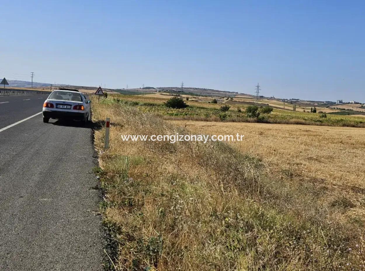 Asyaport Limanı Mevcut İmar Planı İçinde ( Ticari & Sanai ) Alanı Yatırımlık Kupon 8.100 M2 Tarla