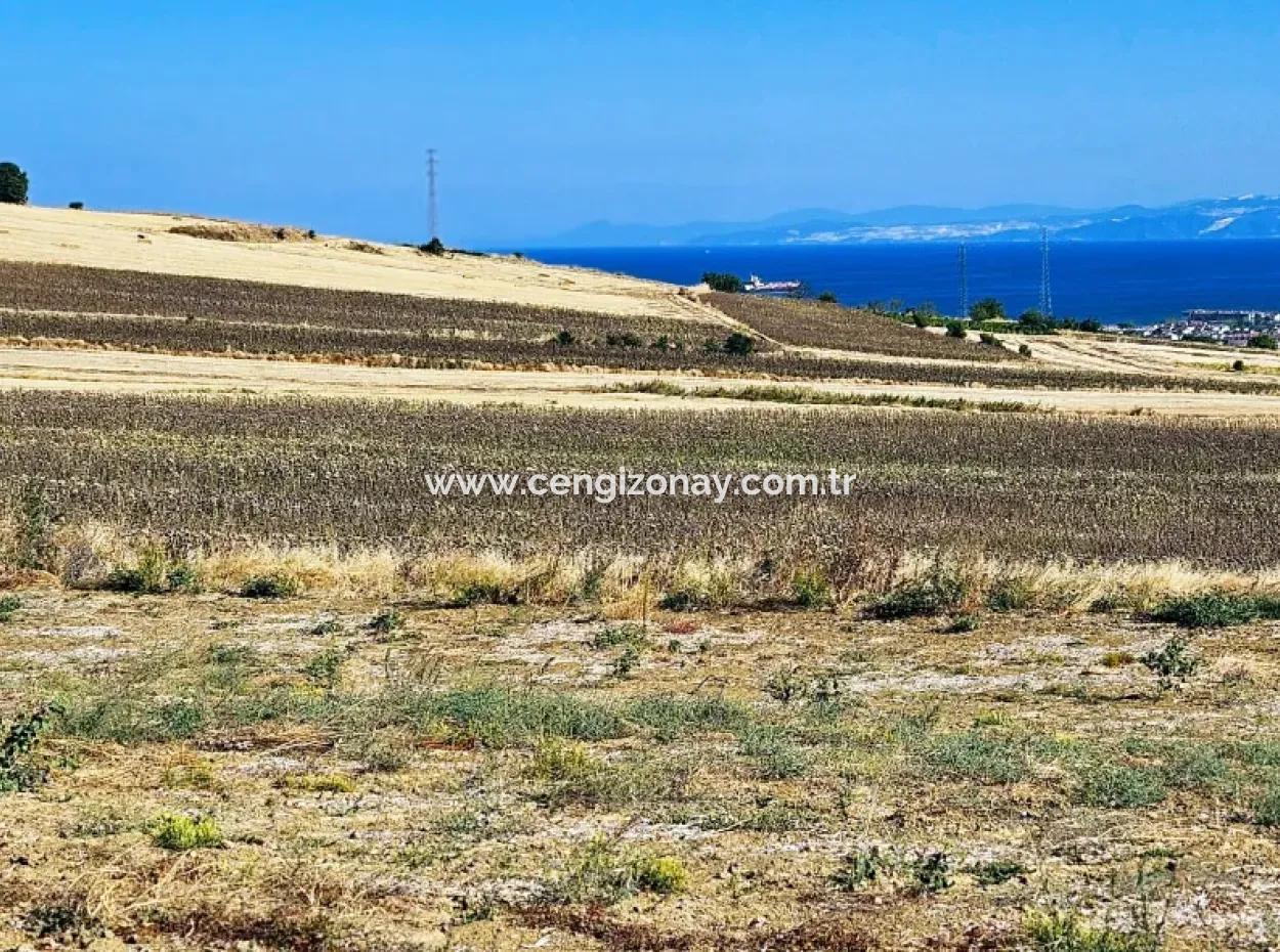 Asyaport Limanı Mevcut İmar Planı İçinde ( Ticari & Sanai ) Alanı Bölgedinde Acil Satılık 6.400 M2 Yatırım Fırsatı