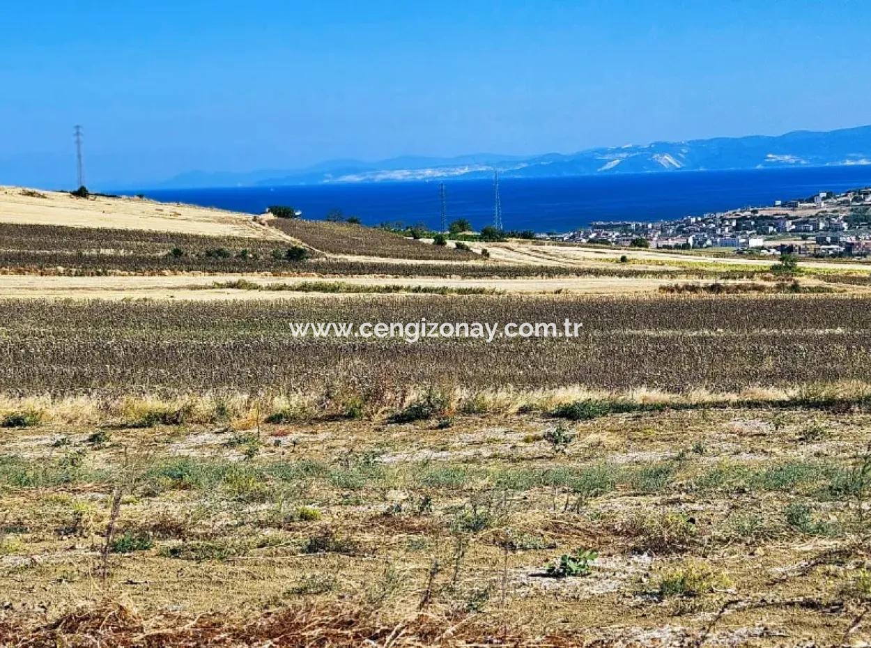 Asyaport Limanı Mevcut İmar Planı İçinde ( Ticari & Sanai ) Alanı Bölgedinde Acil Satılık 6.400 M2 Yatırım Fırsatı