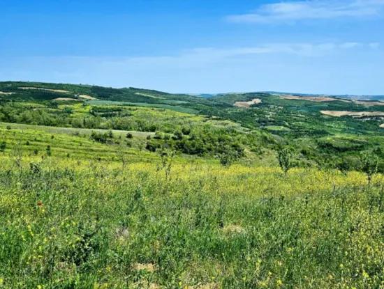Acil Satılık Hayelinizdeki Çiftlği Kurmak İçin Harika Bir Fırsat 2.600 Dönüm Mera Cepheli