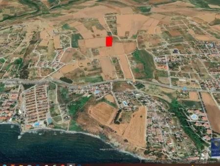 Tekirdağ Barbarosta Acil Satılık Lüxs Proje Uygula Full Deniz Ve Doğa Manzarasıyla Harika Koopretif Site Yap. Yüksek Kazanç Garantisi