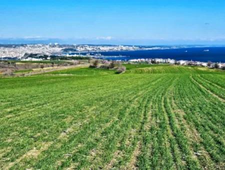 Tekirdağ Barbarosta Acil Satılık Full Deniz Manzaralı 75 Adet Villa Yapmaya Uygun Arazi