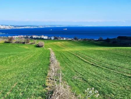 Tekirdağ Barbarosta Acil Satılık Full Deniz Manzaralı 75 Adet Villa Yapmaya Uygun Arazi