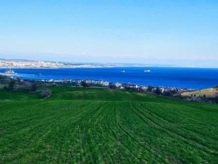 Tekirdağ Barbarosta Acil Satılık Full Deniz Manzaralı 75 Adet Villa Yapmaya Uygun Arazi
