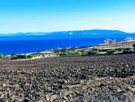 Tekirdağ Barbrosta Acil Satılık Yatırımcısına Yüksek Kazanç Garantisi 44 Dairelik Kooparetif Ve Site Yapımına Uygun Arazi