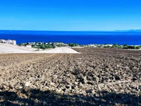 Tekirdağ Barbrosta Acil Satılık Yatırımcısına Yüksek Kazanç Garantisi 44 Dairelik Kooparetif Ve Site Yapımına Uygun Arazi
