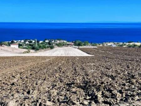 Tekirdağ Barbrosta Acil Satılık Yatırımcısına Yüksek Kazanç Garantisi 44 Dairelik Kooparetif Ve Site Yapımına Uygun Arazi