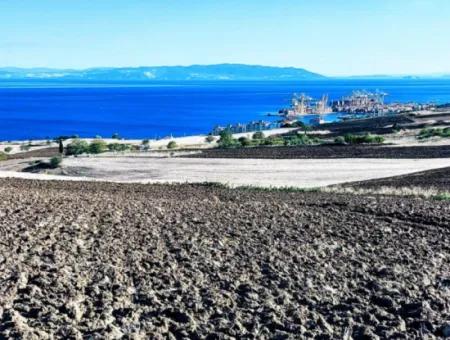 Tekirdağ Barbrosta Acil Satılık Yatırımcısına Yüksek Kazanç Garantisi 44 Dairelik Kooparetif Ve Site Yapımına Uygun Arazi