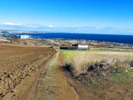Acil Satılık Lüxs Villa Projesi Uygula Yüksek Kaznç Sağla Yerin Konumu Muhteşem Tamamen Full Deniz Ve Doğa Manzaralı