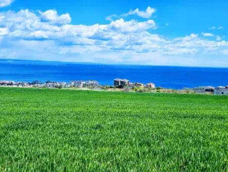 Acil Satılık Tekirdağ Barbarosta 40 Dairelik Full Deniz Manzaralı Konut İmarlı Arazi