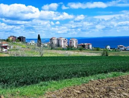 Tekirdağ Barbarosta Acil Satılık Lüxs Proje Uygula Full Deniz Ve Doğa Manzarasıyla Harika Koopretif Site Yap. Yüksek Kazanç Garantisi