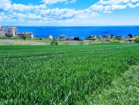 Tekirdağ Barbarosta Acil Satılık Lüxs Proje Uygula Full Deniz Ve Doğa Manzarasıyla Harika Koopretif Site Yap. Yüksek Kazanç Garantisi