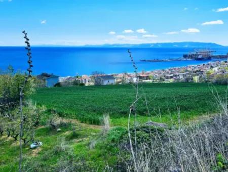 Tekirdağ Barbarosta Acil Satılık 45 Dairelik Kooparetif Site Yapımına Uygun Full Deniz Manzaralı Konut İmarlı Arazi