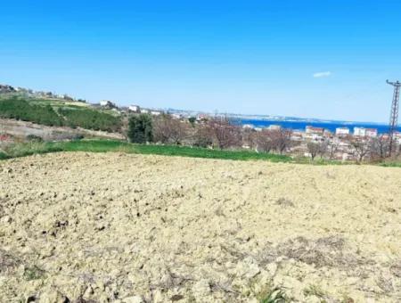 Yatırım Fırsatı: Tekirdağ Barbaros Satılık 615 M2 Köşe Arsa - Acil Satılık, Deniz Ve Doğa Manzaralı, %30 İmarlı