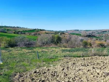 Yatırım Fırsatı: Tekirdağ Barbaros Satılık 615 M2 Köşe Arsa - Acil Satılık, Deniz Ve Doğa Manzaralı, %30 İmarlı