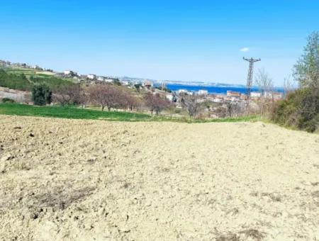 Yatırım Fırsatı: Tekirdağ Barbaros Satılık 615 M2 Köşe Arsa - Acil Satılık, Deniz Ve Doğa Manzaralı, %30 İmarlı