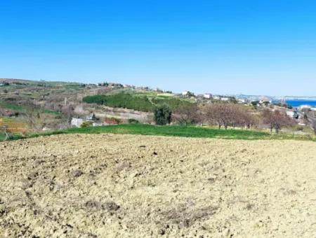Yatırım Fırsatı: Tekirdağ Barbaros Satılık 615 M2 Köşe Arsa - Acil Satılık, Deniz Ve Doğa Manzaralı, %30 İmarlı