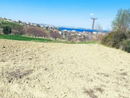 Yatırım Fırsatı: Tekirdağ Barbaros Satılık 615 M2 Köşe Arsa - Acil Satılık, Deniz Ve Doğa Manzaralı, %30 İmarlı