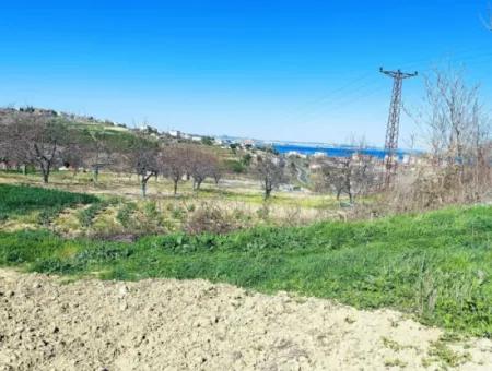 Yatırım Fırsatı: Tekirdağ Barbaros Satılık 615 M2 Köşe Arsa - Acil Satılık, Deniz Ve Doğa Manzaralı, %30 İmarlı