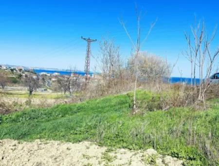 Yatırım Fırsatı: Tekirdağ Barbaros Satılık 615 M2 Köşe Arsa - Acil Satılık, Deniz Ve Doğa Manzaralı, %30 İmarlı
