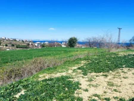 Yatırım Fırsatı: Tekirdağ Barbaros Satılık 615 M2 Köşe Arsa - Acil Satılık, Deniz Ve Doğa Manzaralı, %30 İmarlı