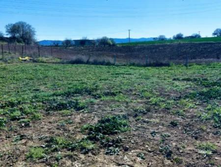 Yatırım Fırsatı: Tekirdağ Barbaros Satılık 615 M2 Köşe Arsa - Acil Satılık, Deniz Ve Doğa Manzaralı, %30 İmarlı