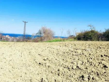 Yatırım Fırsatı: Tekirdağ Barbaros Satılık 615 M2 Köşe Arsa - Acil Satılık, Deniz Ve Doğa Manzaralı, %30 İmarlı