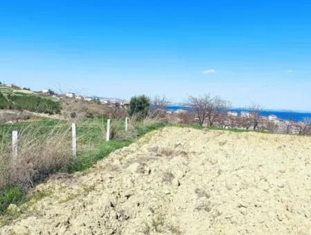 Yatırım Fırsatı: Tekirdağ Barbaros Satılık 615 M2 Köşe Arsa - Acil Satılık, Deniz Ve Doğa Manzaralı, %30 İmarlı