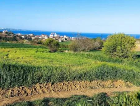 Yatırım Fırsatı: Tekirdağ Barbaros Satılık 615 M2 Köşe Arsa - Acil Satılık, Deniz Ve Doğa Manzaralı, %30 İmarlı