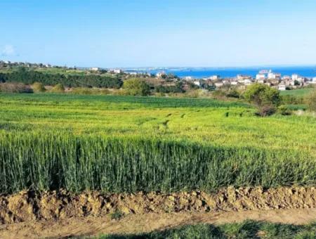 Yatırım Fırsatı: Tekirdağ Barbaros Satılık 615 M2 Köşe Arsa - Acil Satılık, Deniz Ve Doğa Manzaralı, %30 İmarlı