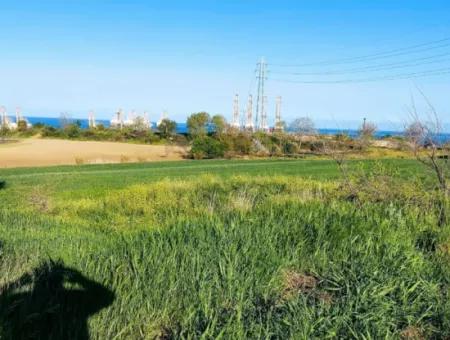 Yatırım Fırsatı: Tekirdağ Barbaros Satılık 615 M2 Köşe Arsa - Acil Satılık, Deniz Ve Doğa Manzaralı, %30 İmarlı