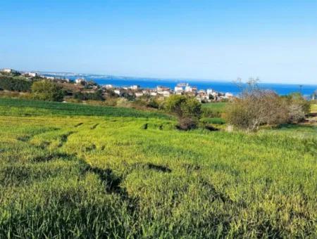Yatırım Fırsatı: Tekirdağ Barbaros Satılık 615 M2 Köşe Arsa - Acil Satılık, Deniz Ve Doğa Manzaralı, %30 İmarlı