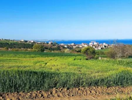 Yatırım Fırsatı: Tekirdağ Barbaros Satılık 615 M2 Köşe Arsa - Acil Satılık, Deniz Ve Doğa Manzaralı, %30 İmarlı