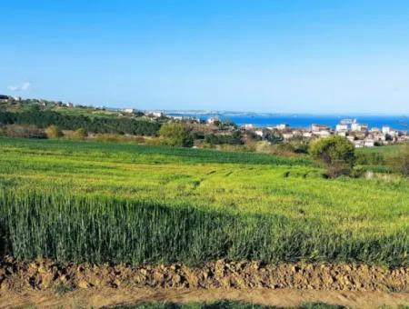 Yatırım Fırsatı: Tekirdağ Barbaros Satılık 615 M2 Köşe Arsa - Acil Satılık, Deniz Ve Doğa Manzaralı, %30 İmarlı