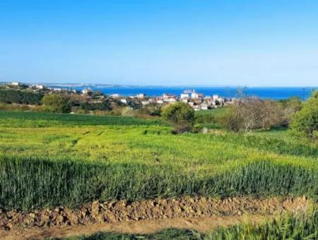 Yatırım Fırsatı: Tekirdağ Barbaros Satılık 615 M2 Köşe Arsa - Acil Satılık, Deniz Ve Doğa Manzaralı, %30 İmarlı