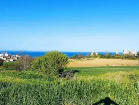 Yatırım Fırsatı: Tekirdağ Barbaros Satılık 615 M2 Köşe Arsa - Acil Satılık, Deniz Ve Doğa Manzaralı, %30 İmarlı