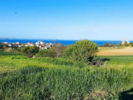 Yatırım Fırsatı: Tekirdağ Barbaros Satılık 615 M2 Köşe Arsa - Acil Satılık, Deniz Ve Doğa Manzaralı, %30 İmarlı