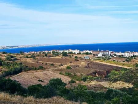 Tekirdağ Süleymanpaşa Barbaros - Topağaç'ta Ramada Hotel'e Yakın 1.150 Metrekarelik Arsa