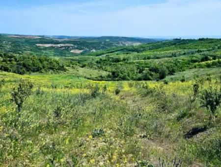 Acil Satılık Hayelinizdeki Çiftlği Kurmak İçin Harika Bir Fırsat 2.600 Dönüm Mera Cepheli