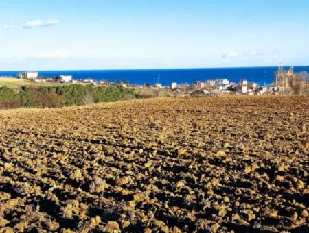 Tekirdağ'ın Süleymanpaşa Barbaros Mevkisinde Bulunan Eşsiz 17.800 M2 Konut İmarlı Arsa