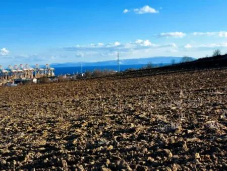 Tekirdağ'ın Süleymanpaşa Barbaros Mevkisinde Bulunan Eşsiz 17.800 M2 Konut İmarlı Arsa