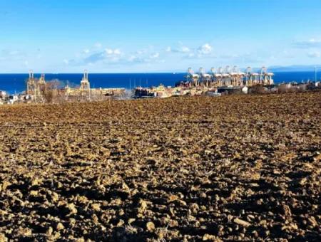 Tekirdağ'ın Süleymanpaşa Barbaros Mevkisinde Bulunan Eşsiz 17.800 M2 Konut İmarlı Arsa