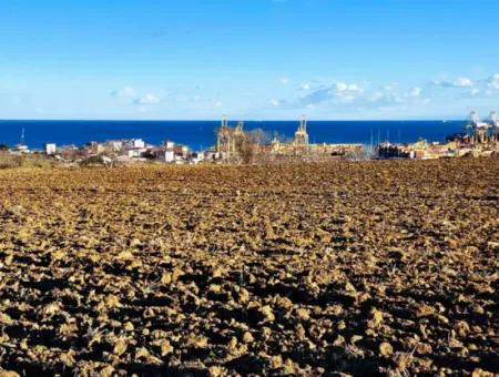 Tekirdağ'ın Süleymanpaşa Barbaros Mevkisinde Bulunan Eşsiz 17.800 M2 Konut İmarlı Arsa