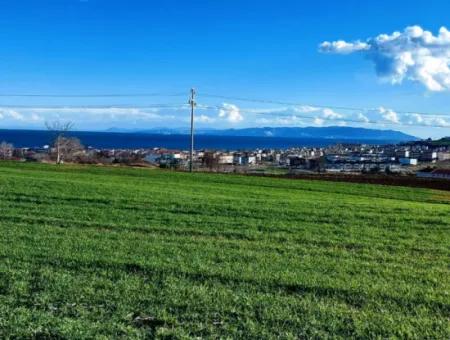 Tekirdağ Süleymanpaşa Barbaros'ta Bulunan Bu 11.100 M2 Konut İmarlı Arazi, Harika Bir Konumda Yer Alıyor.