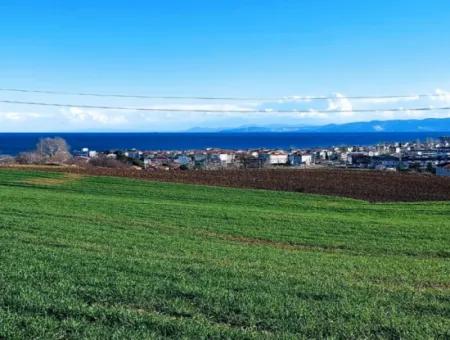 Tekirdağ Süleymanpaşa Barbaros'ta Bulunan Bu 11.100 M2 Konut İmarlı Arazi, Harika Bir Konumda Yer Alıyor.