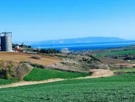 Tekirdağ'ın Nusuratlı Mevkisinde 19.500 Metrekarelik Ticari Ve Sanayi Alanında Satılık Tarla