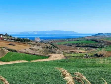 Tekirdağ'ın Nusuratlı Mevkisinde 19.500 Metrekarelik Ticari Ve Sanayi Alanında Satılık Tarla