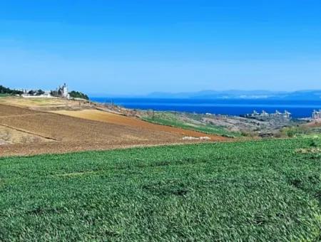 Tekirdağ'ın Nusuratlı Mevkisinde 19.500 Metrekarelik Ticari Ve Sanayi Alanında Satılık Tarla