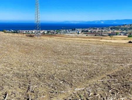 Tekirdağ Barbaros'ta Bulunan 21,900 M2 Arsa, Asyaport Limanı Mevcut İmar Planı İçinde Yer Almaktadır